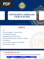 CCPLL - Materia Laboral 2023