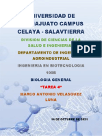 Estructura de Las Plantas