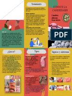 Candidiasis Triptico