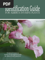 Identification Guide For Alberta Invasive Plants