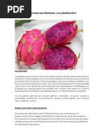 Clasificación Arancelaria de La Pitahaya