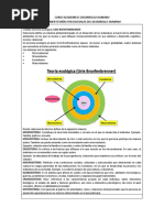 Resumen Teorías Desarrollo