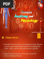 Lesson 3 Integumentary System