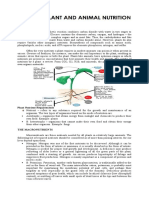 Lesson 3 PLANT AND ANIMAL NUTRITION