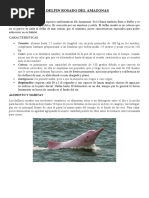 El Delfin Rosado Del Amazonas