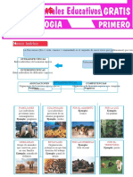 Biocenosis-para-Primero-Grado-de-Secundaria