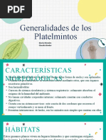 Generalidades de Los Platelmintos