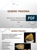 Género Trigonia