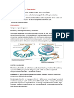 Células Procariontes y Eucariontes.085