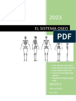 Sistema Óseo