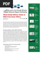 What Dubai Silicon Oasis DSO Free Zone Offers