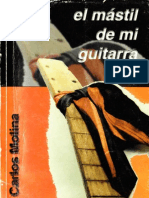 El Mástil de Mi Guitarra