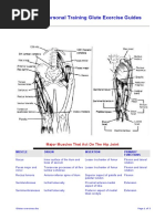 Glutes Exercises