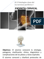 21 Plexopatía Cervical