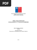 Apellidos Mapuche Vinculados A Titulos D