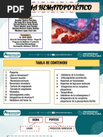 Sistema Hematopoyético