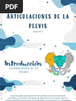 Articulaciones de La Pelvis