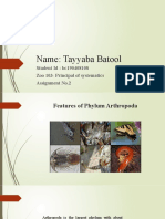 Features of Phylum Arthropoda