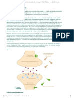 O Sistema Endocanabinóide - Fundação CANNA - Pesquisa e Análise de Cannabis