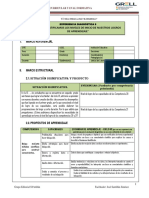 Modelo Desarrollado - Experiencia Diagnóstica - Cyt - 2023