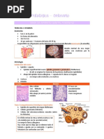 Anatomía Patológica Ordinario