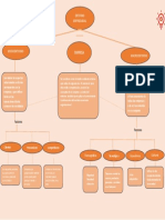 Mapa Conceptual Comprimido12