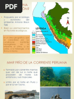 Ecosistemas Del Perú II - 11 Ecorregiones Del Perú (Impresión)