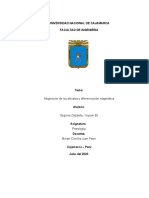 Asignación de Silicatos y Diferenciación Magmatica