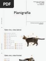 Planigrafia 1190068