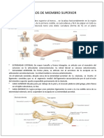 Tarea Miembro Superior