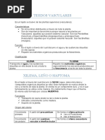 Comparto '2 Do Parcial Repaso Histo Vegetal (1) ' Contigo