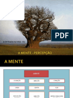 Processos Psicologicos Da Percepcao