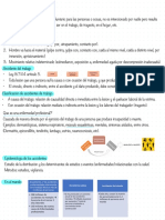 Solemne 1 Primeros Auxilios