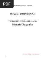 Povos Indigenas