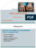 Inflamacion Fisiopatologia