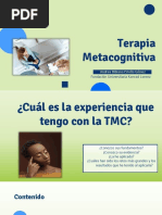 Introducción Terapia Metacognitiva