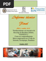 Informe Final - Asociacion Hermandad de Honduras OPD