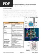 Module 4 - Centrifugal Fire Pumps - En.es