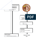 Informe Practicas Iniciales Enapu