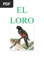 El Loro