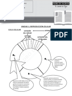 BC Cuaderno de Ejercicios 3