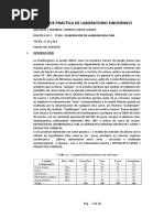 Modelo de Informe Hamburguesa Maestria Aliments