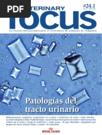 Veterinary Focus 2014