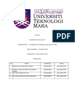 Identification of Biological Molecules in Food