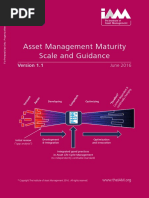 IAM Asset Management Maturity Scale and Guidance