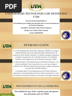 Presentacion Del Proceso para Entablar Una Demanda Ante La Cidh - Dip - Ii