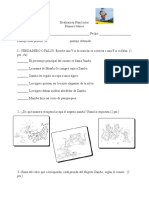 Evaluación Plan Lector 1°