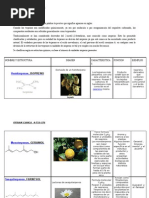 Clasificacion de Terpenos Puky