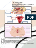 Trabajo Evaluativo 3ero Biologia - Imv