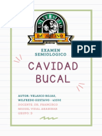 Infografia Semiologica de La Cavidad Bucal